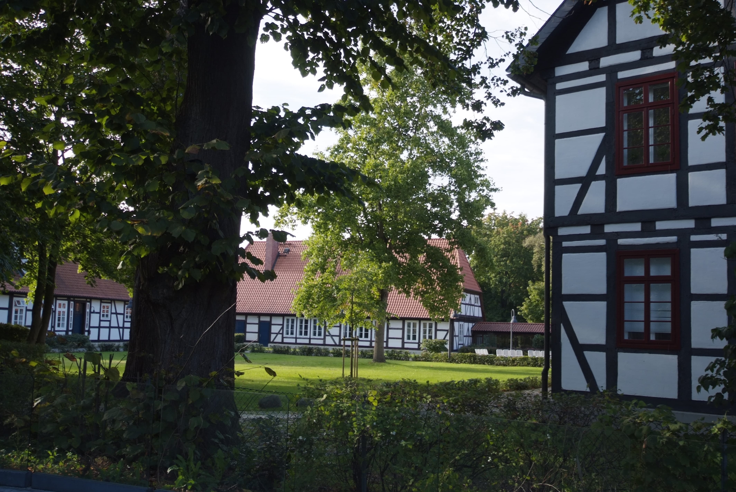 Park mit Bäumen, im Hintergrund stehen die Fachwerkhäuser des amtshofs von Burgwedel.
